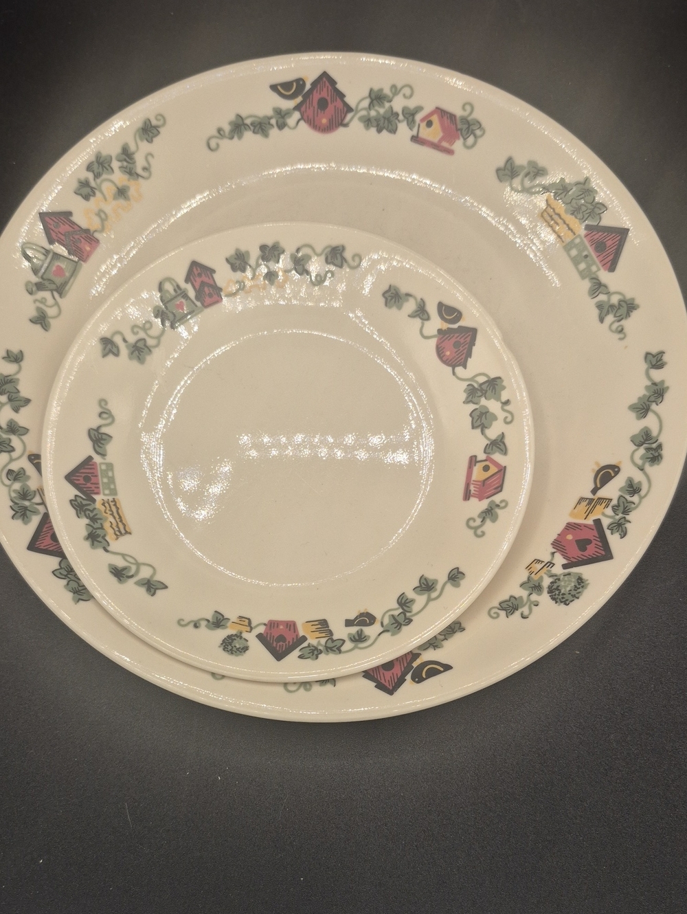 Vintage Corelle Garden Home Dinner Plates And 1 Side Plate